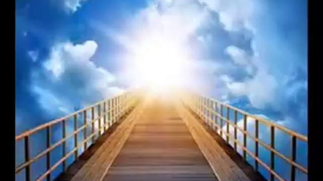 Dave Hewson   Golden Splendour