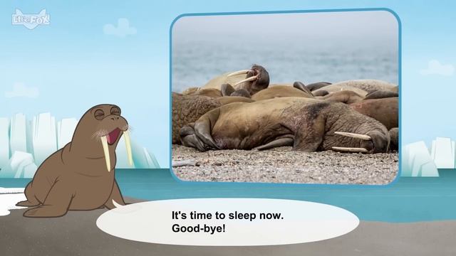 Meet 12 Cool Ocean Animals | Clown Fish, Sea Horse, Manta Ray, Bottlenose Dolphin, and More смотреть онлайн