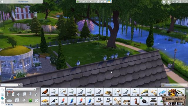 Bakies The Sims 4 Custom Content: Animated - Placeable Birds - Pigeons ?️ смотреть онлайн
