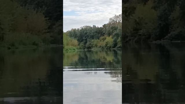 1 день. Сплав по реке Медведица. 20.09-25.09.22 г. Жирновск-г. Михайловка (260км) смотреть онлайн
