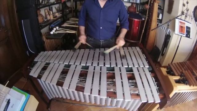 VIBRAPHONE (and MARIMBA) #mallets Daniele Di Gregorio Signature Series DG25 HARD by APinstrument смотреть онлайн