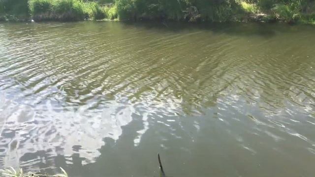 РЫБАЛКА СОСТОИТСЯ В ЛЮБУЮ ПОГОДУ ? Штормовой ветер не даёт ловить рыбу!!! смотреть онлайн