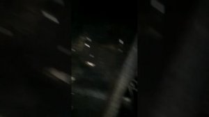 Сиденья от Солярис в Ваз