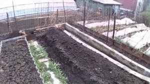 ГРЯДКА ИЗ КИРПИЧА  НАЧАЛ ДЕЛАТЬ, ПОШЛИ ДОЖДИ