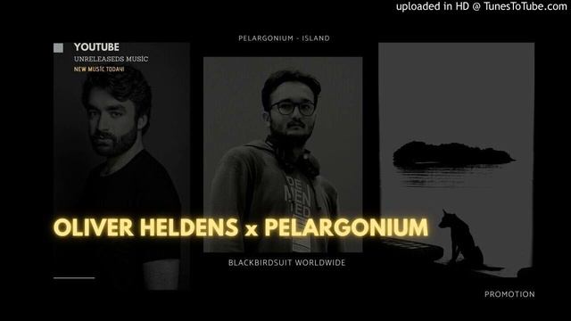 Oliver Heldens - Island #oliverheldensid #pelargonium #music #oliverheldens смотреть онлайн