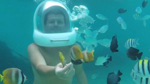 Дайвинг - Погружение в скафандре - Хождение по рифам - Остров Боракай, Филиппины