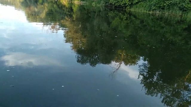 Лавра. Вид с реки. Троица 2019г. смотреть онлайн