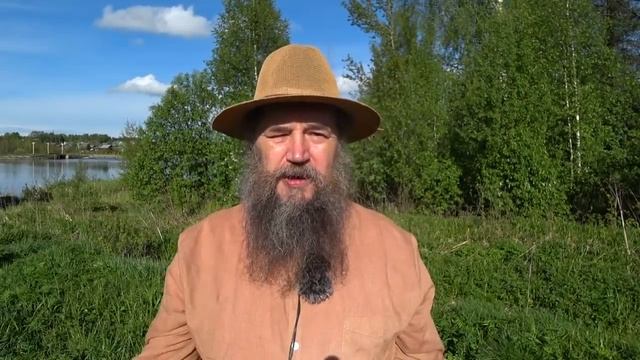 Салат жизни 4 сныть