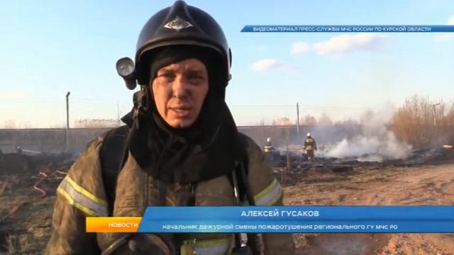 Курян просят прекратить жечь траву смотреть онлайн