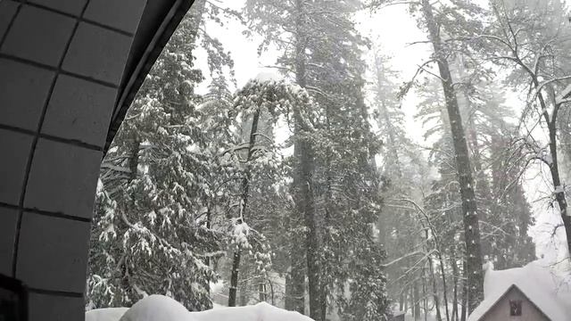 Crestline Blizzard 2023 смотреть онлайн