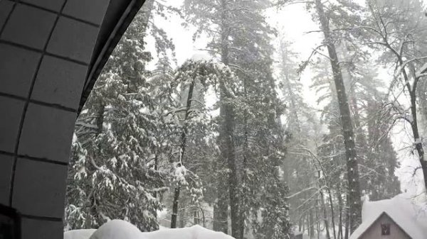 Crestline Blizzard 2023