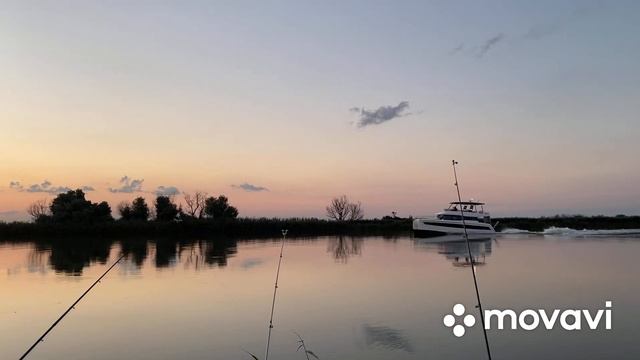 Рыбалка на Дунае! День рождение на рыбалке! Рыбалка в Вилково! смотреть онлайн