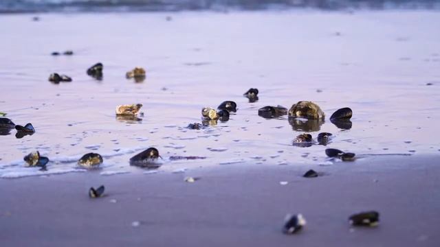 Meditation Music For Positive Energy | Meditation Music 5 Minutes |Meditation Music Relax Mind Body