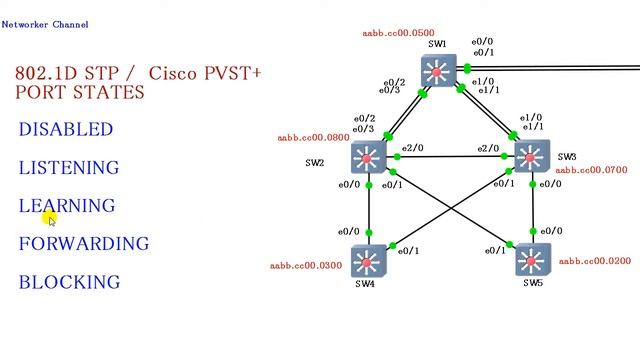 Состояние портов STP 802.1D и Cisco PVST+ смотреть онлайн