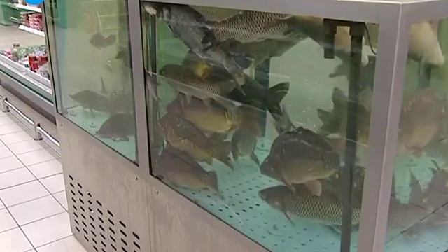 Порядок цен. Красная икра смотреть онлайн