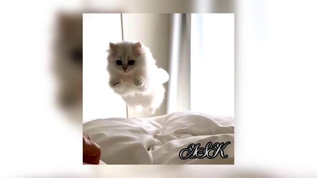 OPEN KIDS-круче всех(speed up) смотреть онлайн