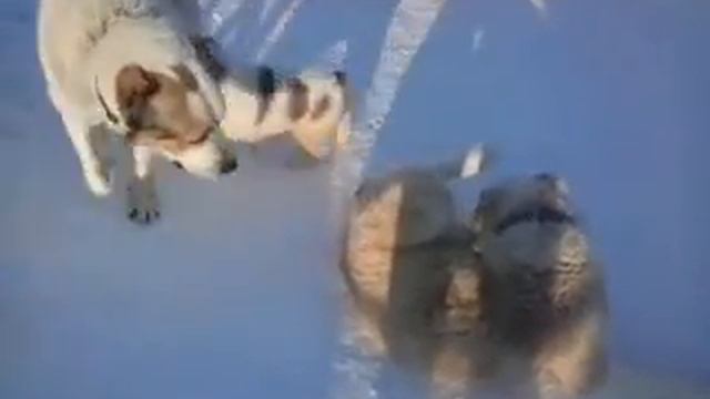 Игры САО смотреть онлайн
