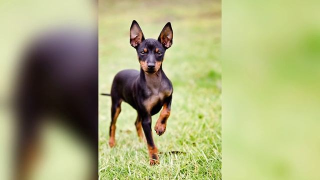 Top 10 AMAZING Facts About ENGLAND смотреть онлайн