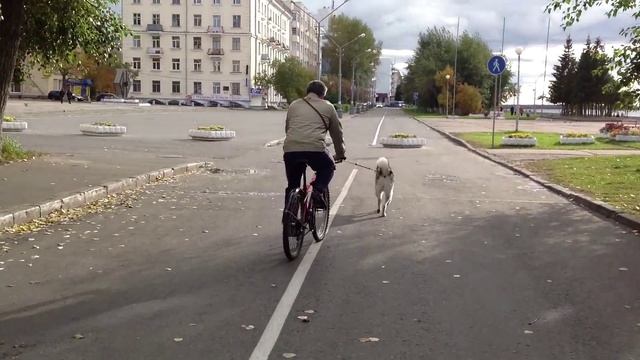 Набережная Северной Двины смотреть онлайн