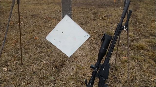На 500 метров с 22lr и глушителем Titan 22 Lux смотреть онлайн