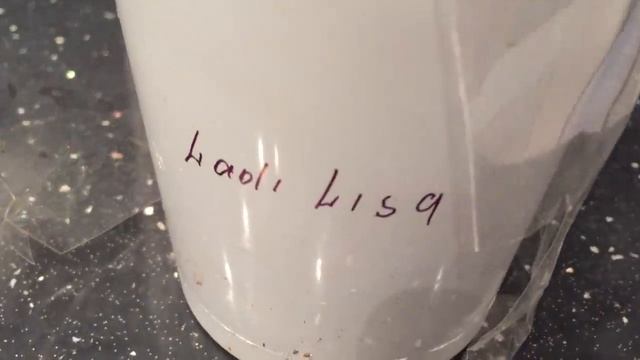 Две редчайших новых орхидеи...  Доритенопсис и ангрекум