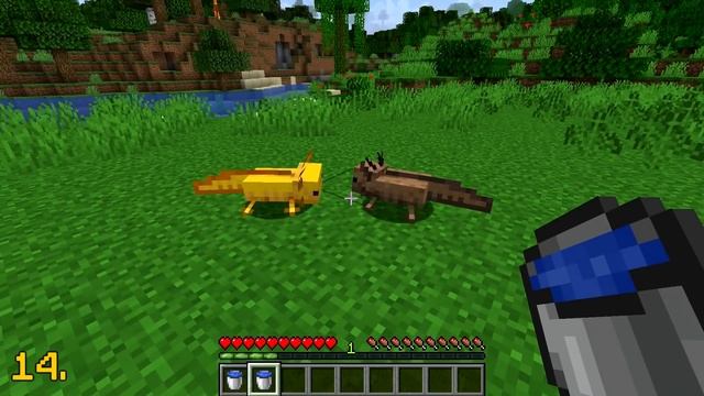 30 Things You Didn't Know About Axolotls In Minecraft