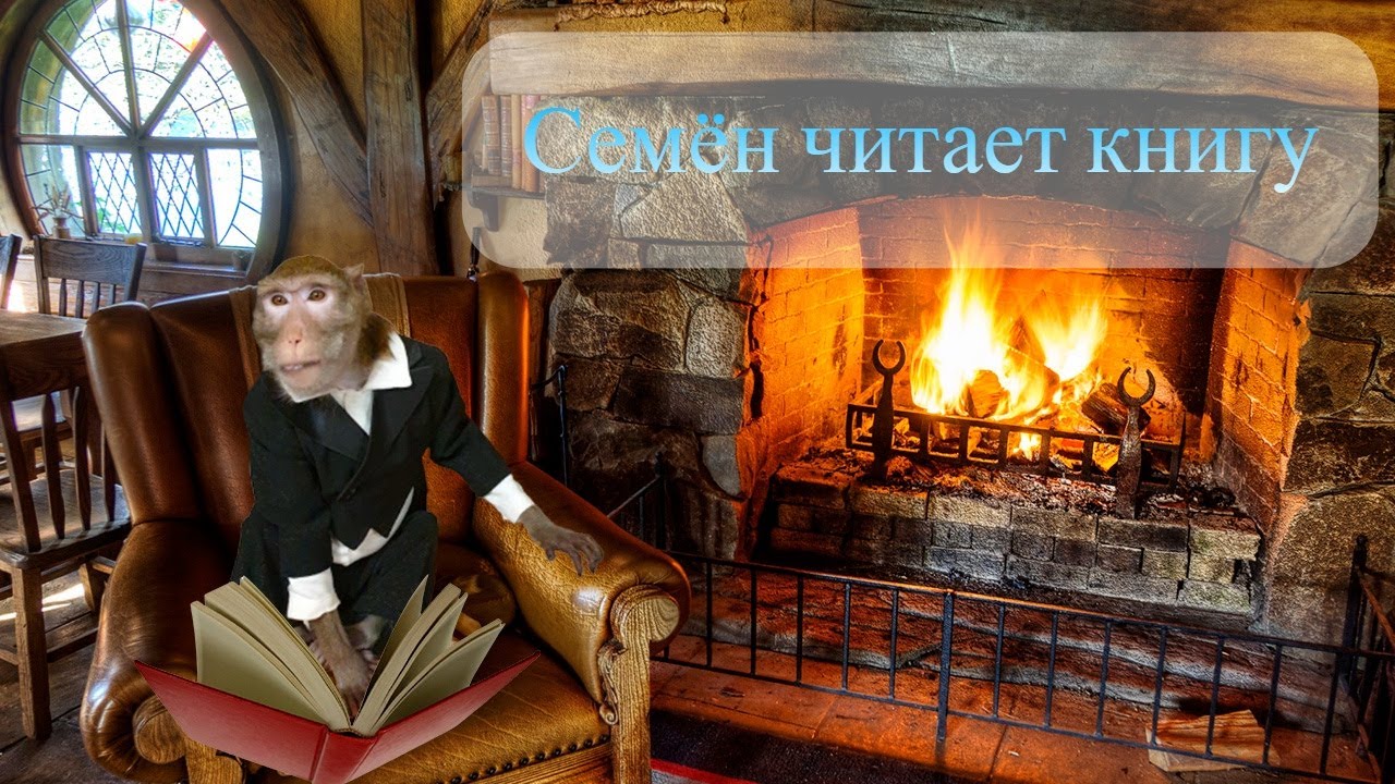 Осень.Пора учиться.Семён и книга (Домашние макаки) смотреть онлайн