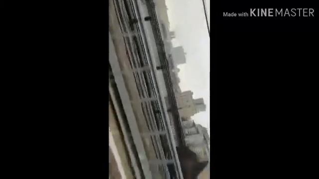 Ездил в метро музей вместе с Даней (московский транспотрник) смотреть онлайн