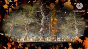 С нами случилась осень