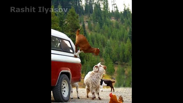 20 удивительных снимков, которые ломают все известные законы физики смотреть онлайн