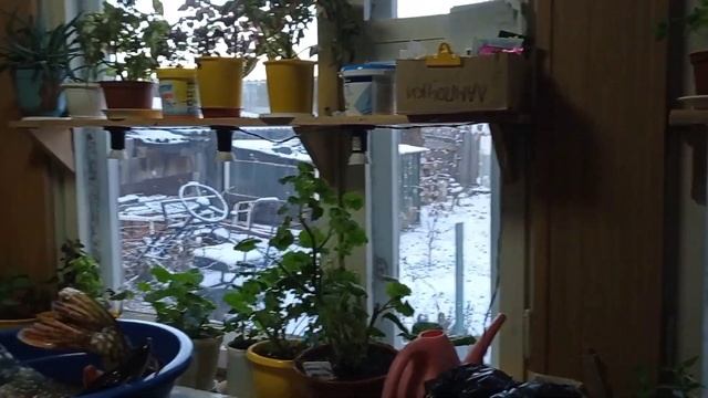 15 ноября/Вот это МОНСТРЫ ?/ пробежалась по магазинам/ приготовила ужин смотреть онлайн