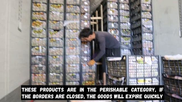 Tosor Organic: apricot harvest, prices, overview of the situation ? 20/07/22 смотреть онлайн