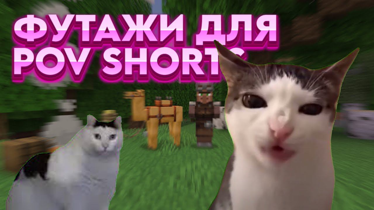 ФУТАЖИ ДЛЯ POV SHORTS | ФУТАЖИ POV КОТЫ МЕМЫ смотреть онлайн