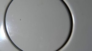 удаляем царапины с автомобиля полиролью за 100 рублей / polo sedan