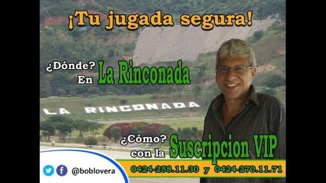 Información PREMIUN Roberto "Bob" Lovera del domingo 8-9-19 para JDR DEPORTES. смотреть онлайн