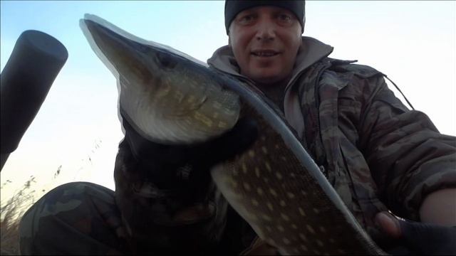 ЖЕРЛИЦА подводная съемка смотреть онлайн