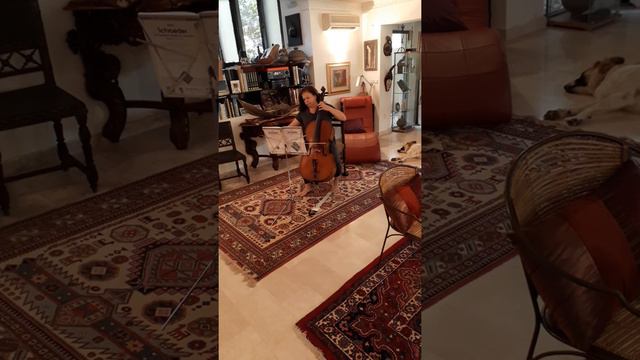 Alwin Schroeder 170 Cello Foundation Exercises, Book 1, number 5 смотреть онлайн