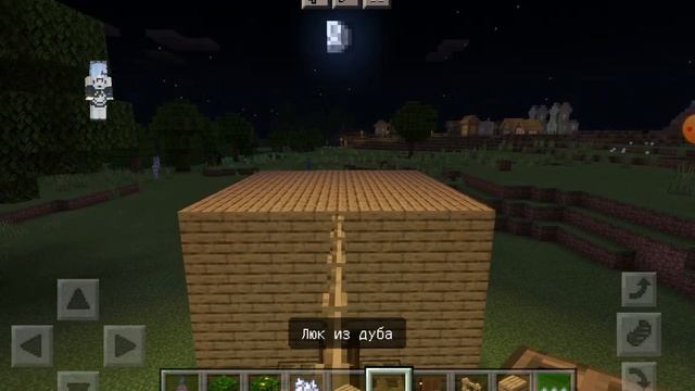 Как построить дом для попугаев(кроликов, чешуйнец) в Minecraft. ???