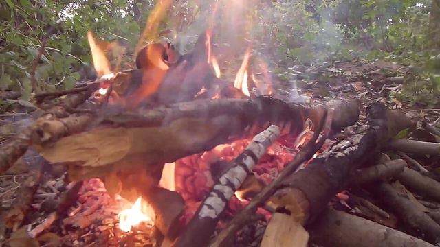 Рыбачу и жарю УКЛЕЙКУ у фользи смотреть онлайн