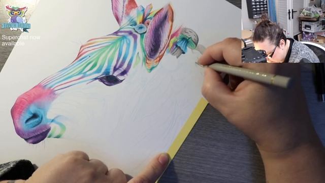Rainbow Zebra commission - Faber Castell Polychromos смотреть онлайн