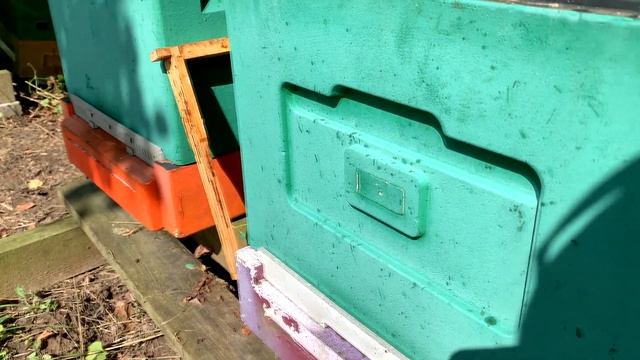 Обзор ульев Lyson Нижегородец Пеноулик смотреть онлайн