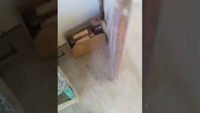 Лестница из ясеня смотреть онлайн