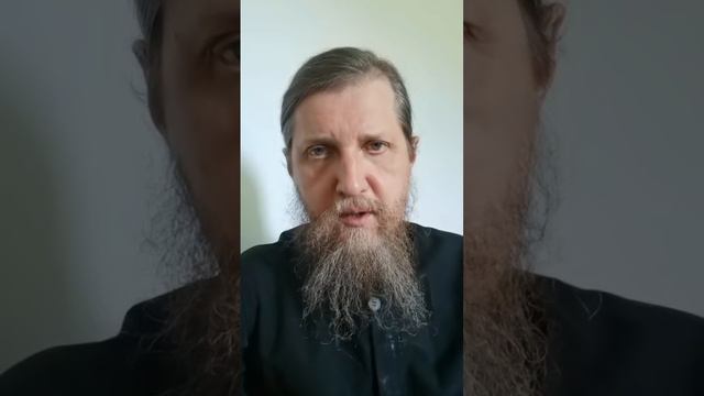 Какова истинная цель христианской жизни? смотреть онлайн