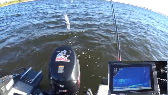 Как на Волге ловят ЧЕХОНЬ местные рыбаки? Поймать 15кг за рыбалку! смотреть онлайн