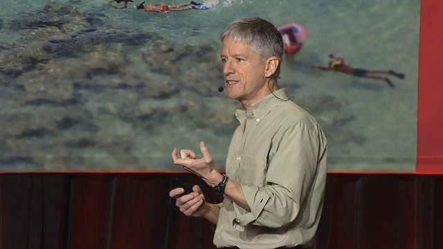 Strata 2012: Dave Campbell, "Do We Have The Tools We Need To Navigate The New World Of Data?" смотреть онлайн