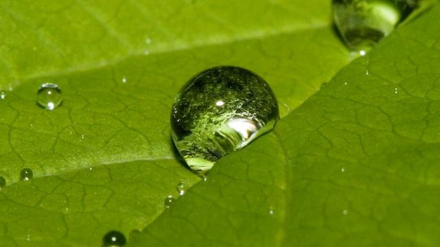 КАРЛИК НОС #fairytales #сказки