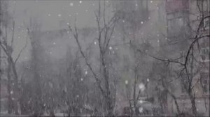 Снег на моей голове...