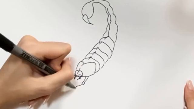 Как нарисовать Скорпиона ? смотреть онлайн