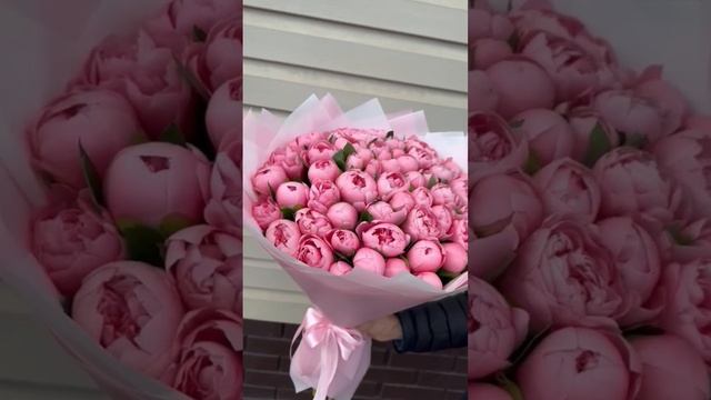 51 штук Пион #89636430909 #101пион #101роза #букет смотреть онлайн