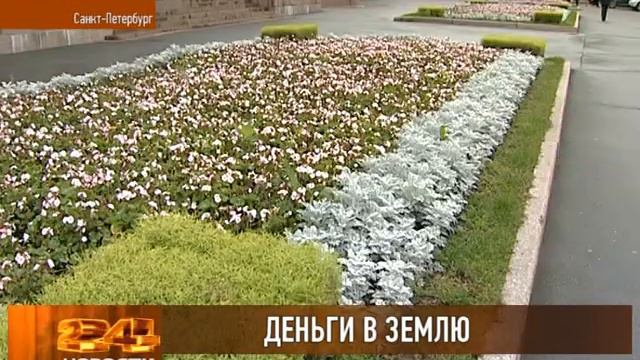 Что сажают в Петербурге смотреть онлайн